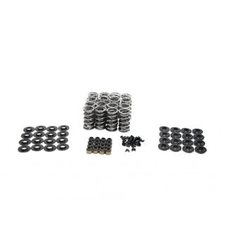 Picture of BTR .660" Lift Platinum Spring Kit