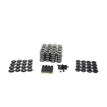 Show details for BTR .660" Lift Platinum Spring Kit Picture of BTR .660" Lift Platinum Spring Kit